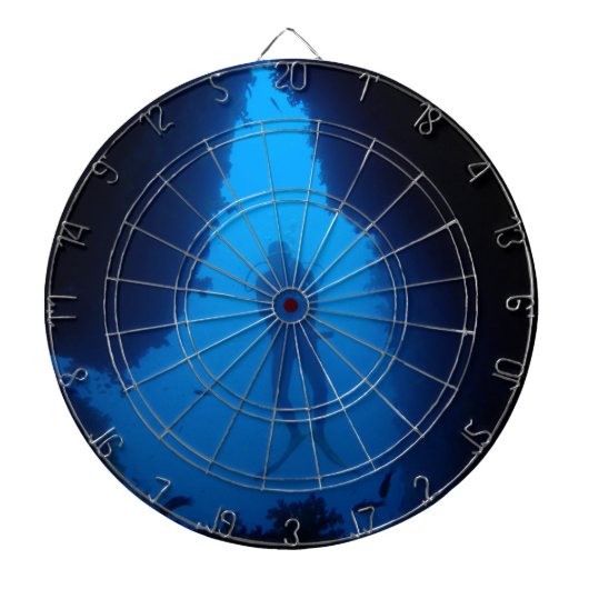 Cave Diver Dartbord (Voorkant)