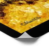 Cave Hedégels Poster (Hoek)