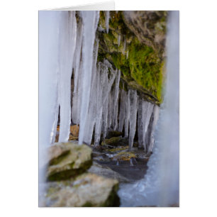 Cave Icicles