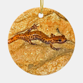 Cave Salamander Keramisch Ornament