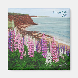 Cavendish Cliffs and Spring Lupins Square Magnet Magneet