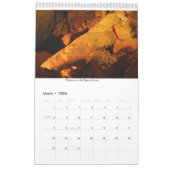 Caverne de Minnetonka calendrier de 18 mois (Mar 2026)