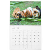 Cavia 2027 kalender (Mar 2027)