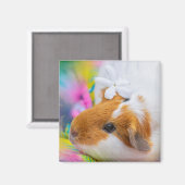 cavia-5924328 magneet (Voorkant / Achterkant)