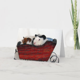 Cavia Baby's in een rode slee Kaart