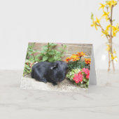 Cavia Birthday Card Kaart (Gele Bloem)