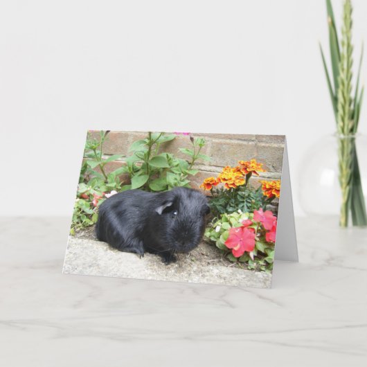 Cavia Birthday Card Kaart (Voorkant)