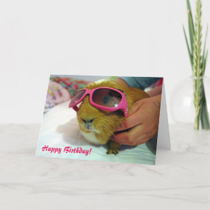 Cavia Birthday Card Kaart