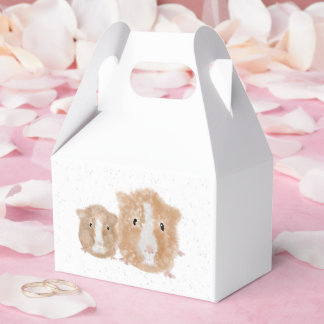 Cavia cadeau doos bedankdoosjes