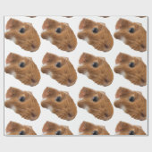 cavia cadeaupapier (Vlak)
