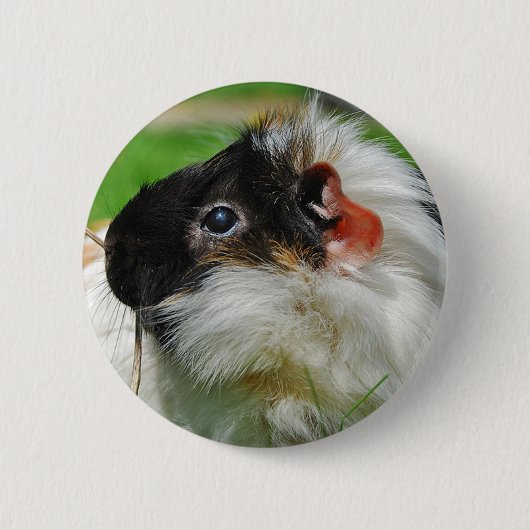 Cavia Chewie Ronde Button 5,7 Cm (Voorkant)