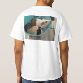 Cavia Comic Sans Fruit??? idk T-shirt (Achterkant)