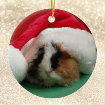 Cavia Dier Kerstversiering