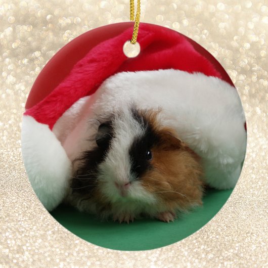 Cavia Dier Kerstversiering Keramisch Ornament