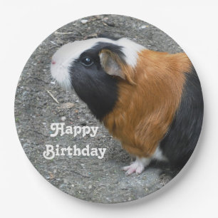 Cavia foto Birthday Papieren Bordje