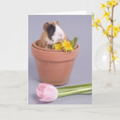 cavia in een bloempot kaart (Gele Bloem)
