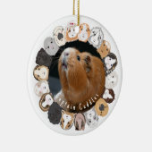 Cavia keramisch ornament (Rechts)