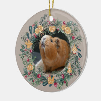 Cavia  keramisch ornament