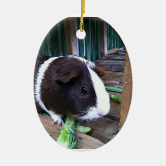 cavia keramisch ornament (Voorkant)