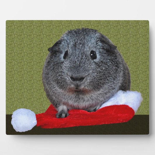 Cavia Kerstmis Fotoplaat (Voorkant)