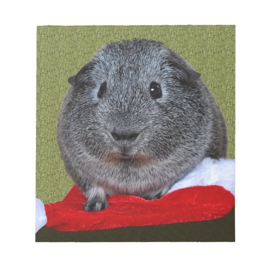 Cavia Kerstmis Notitieblok (Voorkant)