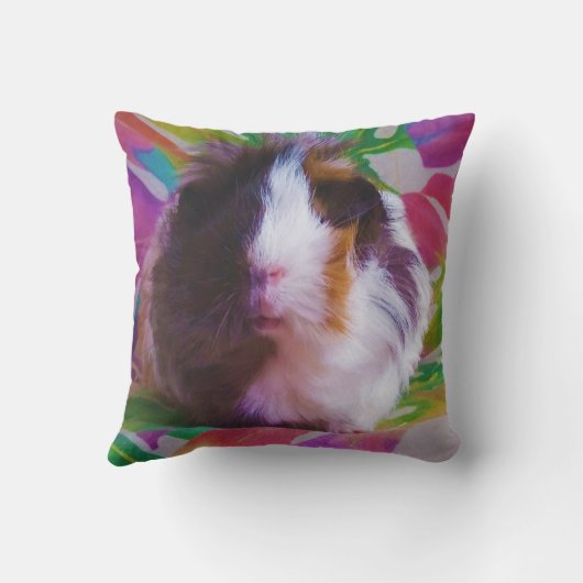 Cavia kussen - Coco (Achterkant)