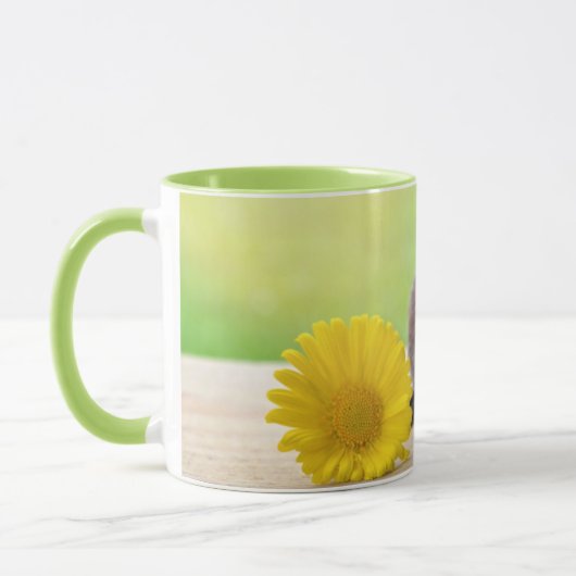 Cavia met Bloem Mok (Links)