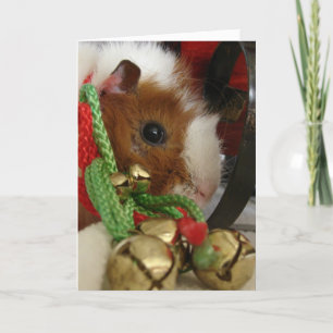 cavia met jinglebellen feestdagen kaart