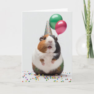 Cavia met Party Pet Wenskaart Kaart