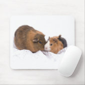 cavia muismat (Met muis)