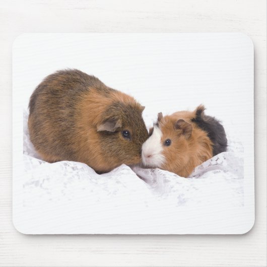 cavia muismat (Voorkant)