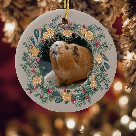 Cavia ornament