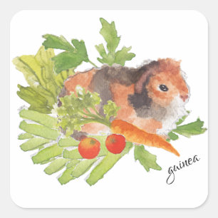 Cavia Pek Wortel Salade Waterverf Sticker