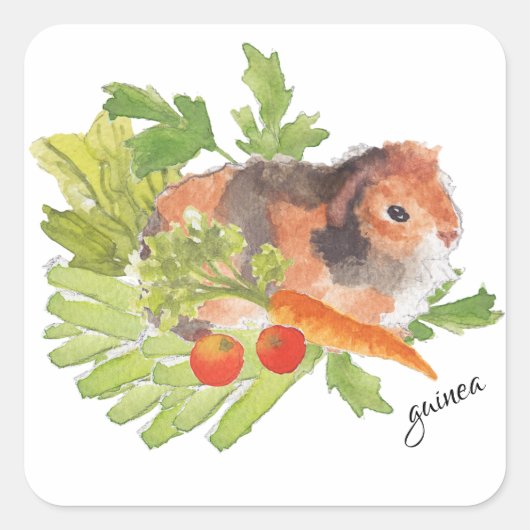 Cavia Pek Wortel Salade Waterverf Sticker (Voorkant)