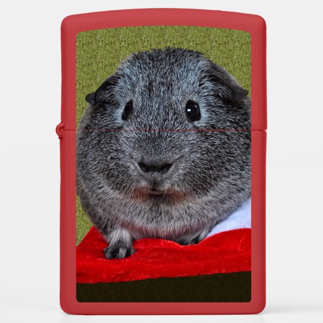 Cavia Pig Kerstmis (Voorkant)