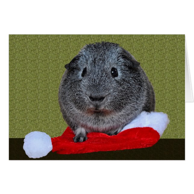 Cavia Pig Kerstmis (Voorkant Horizontaal)