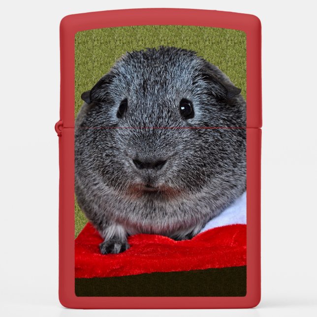 Cavia Pig Kerstmis (Voorkant)