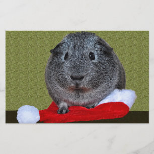 Cavia Pig Kerstmis Briefpapier