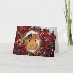 Cavia Pig Kerstmis Feestdagen Kaart