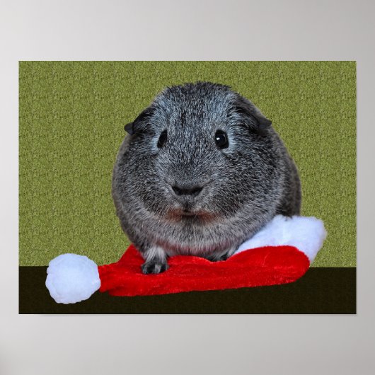 Cavia Pig Kerstmis Poster (Voorkant)