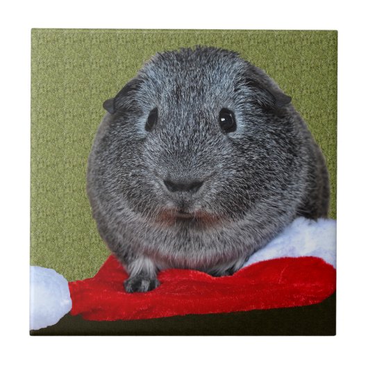 Cavia Pig Kerstmis Tegeltje (Voorkant)