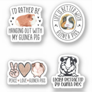 Cavia Pig Sticker Pack, Grappig cavia