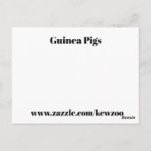 Cavia Pigs Briefkaart (Achterkant)