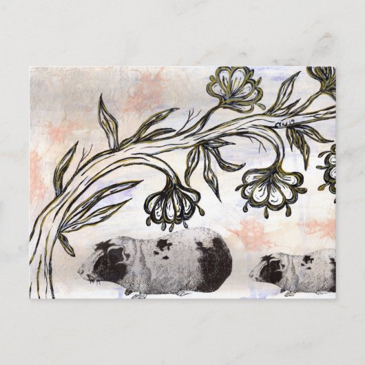 Cavia Pigs Briefkaart (Voorkant)