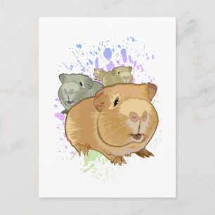 Cavia Pigs Briefkaart