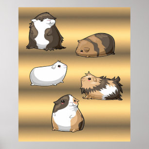 Cavia Pigs   Giften met goudmakreel Poster