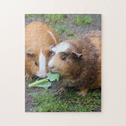 Cavia Pigs Legpuzzel (Verticaal)