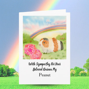 Cavia Regenboog Sympathie met Anjers Naam Kaart