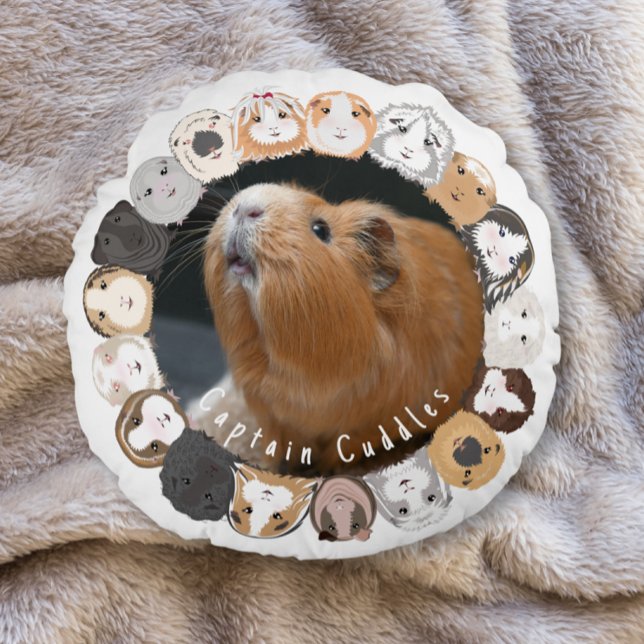 Cavia  rond kussen (Creator heeft geüpload)