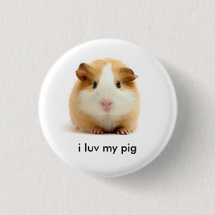 cavia ronde button 3,2 cm